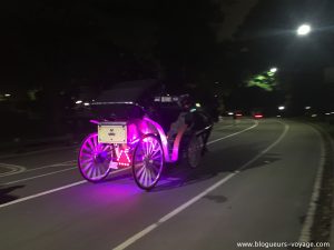 Balade nocturne le long de Cntral Park New York