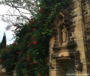 blog-voyage-provence-france-268