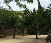 blog-voyage-provence-france-284
