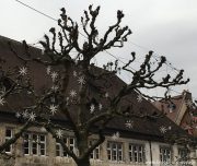 marche-de-noel-montbeliard-franche-comte-13