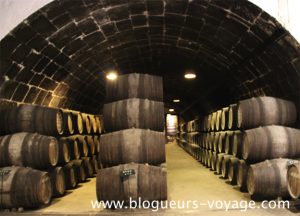 porto-caves-1