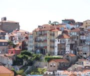 porto-colline-6