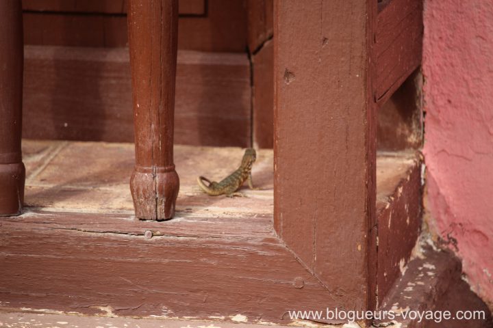 blog-voyage-cuba-canon-248