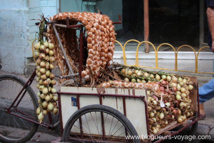 blog-voyage-cuba-canon-39
