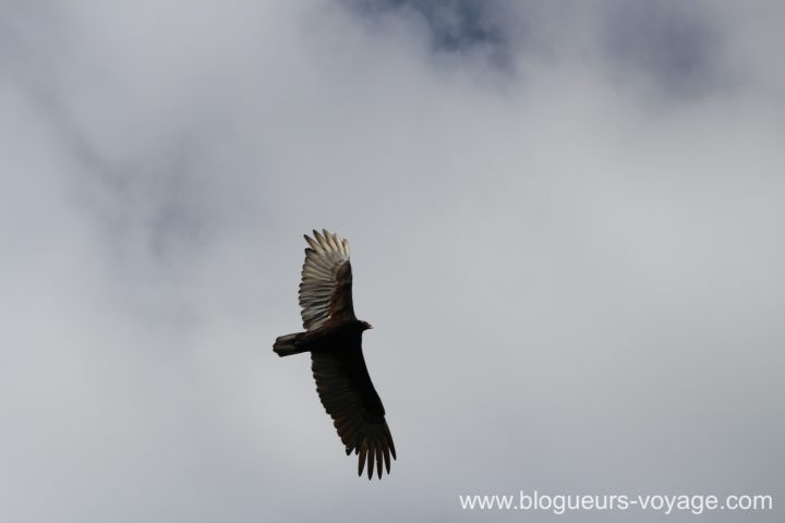 blog-voyage-cuba-canon-468