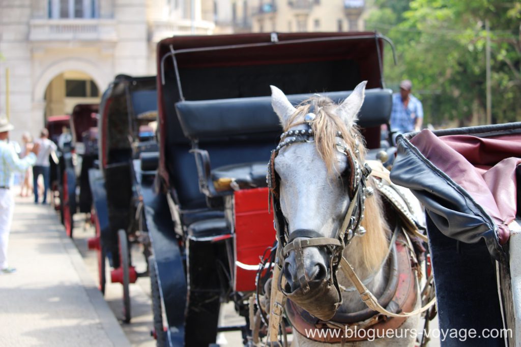 blog-voyage-cuba-canon-52