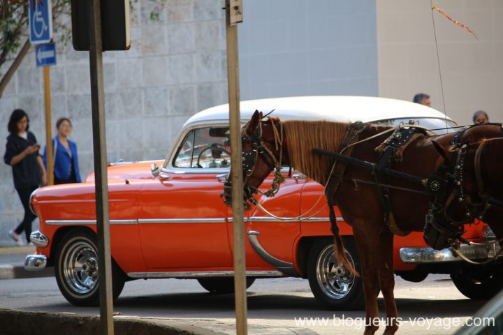 blog-voyage-cuba-canon-82
