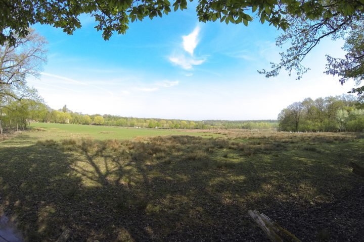blog-voyage-parc-animalier-sainte-croix-0