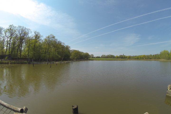 blog-voyage-parc-animalier-sainte-croix-1