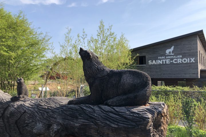 blog-voyage-parc-animalier-sainte-croix-179