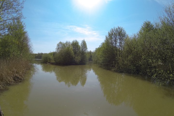 blog-voyage-parc-animalier-sainte-croix-2