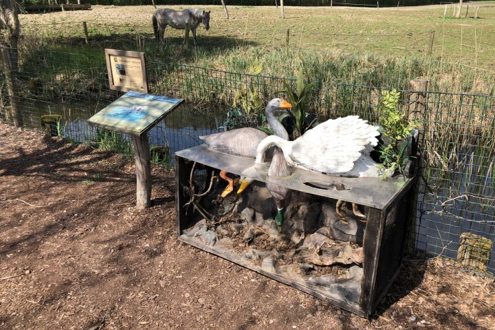 blog-voyage-parc-animalier-sainte-croix-221