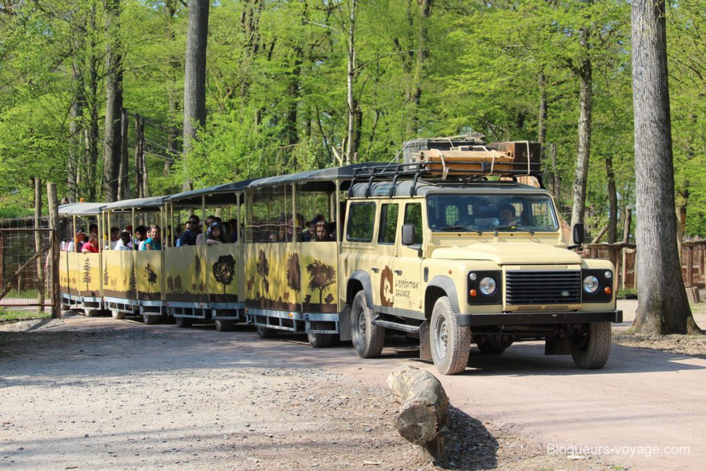 blog-voyage-parc-animalier-sainte-croix-24