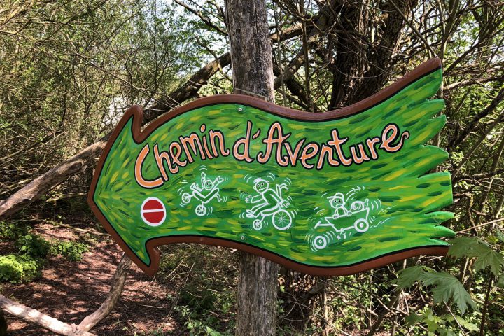 blog-voyage-parc-animalier-sainte-croix-248