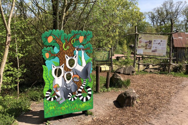 blog-voyage-parc-animalier-sainte-croix-252