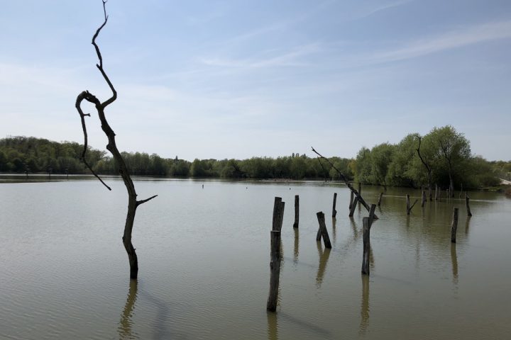 blog-voyage-parc-animalier-sainte-croix-297