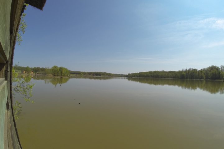 blog-voyage-parc-animalier-sainte-croix-3