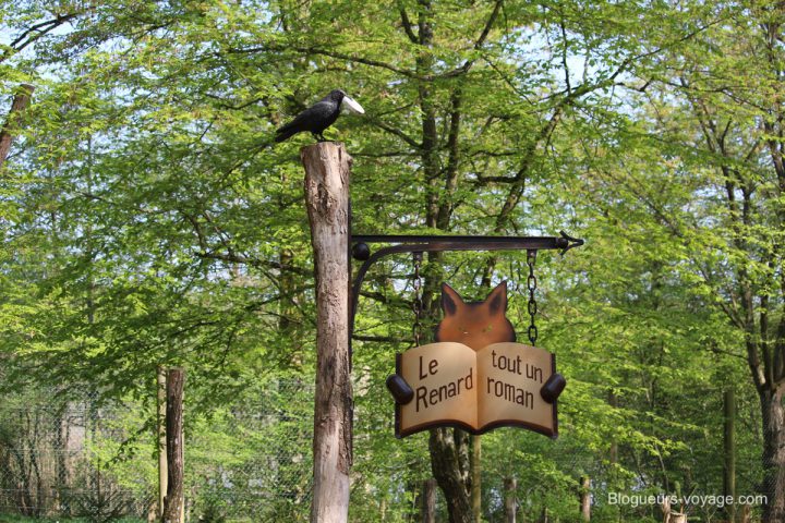 blog-voyage-parc-animalier-sainte-croix-54