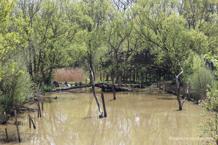 blog-voyage-parc-animalier-sainte-croix-66