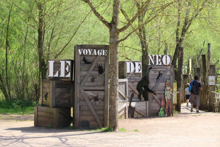 blog-voyage-parc-animalier-sainte-croix-96