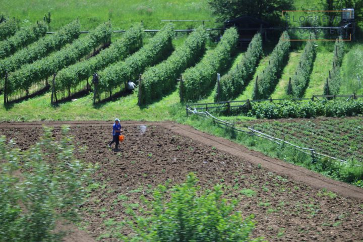 blog-voyage-balkans-bosnie-herzegovine-2-12