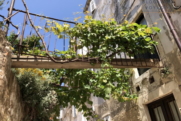 blog-voyage-croatie-dubrovnik-113