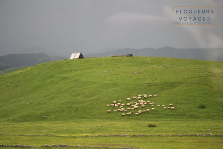 blog-voyage-montenegro-durmitor-lac-noir-74
