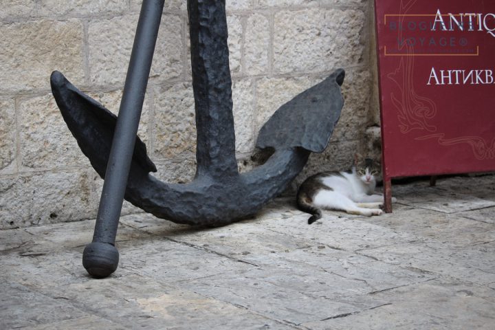 blog-voyage-montenegro-kotor-160