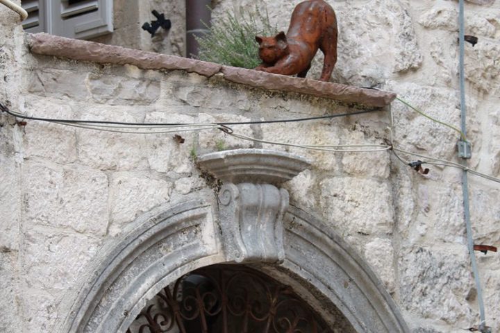 blog-voyage-montenegro-kotor-161