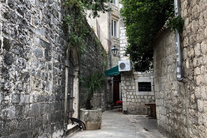blog-voyage-montenegro-kotor-51
