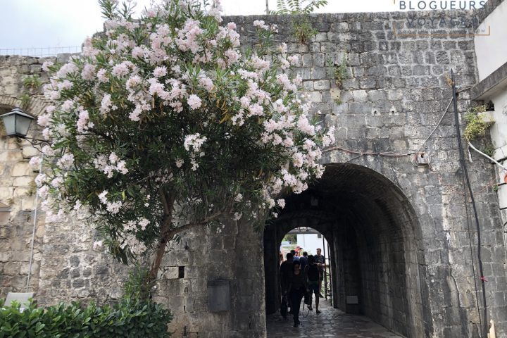 blog-voyage-montenegro-kotor-92