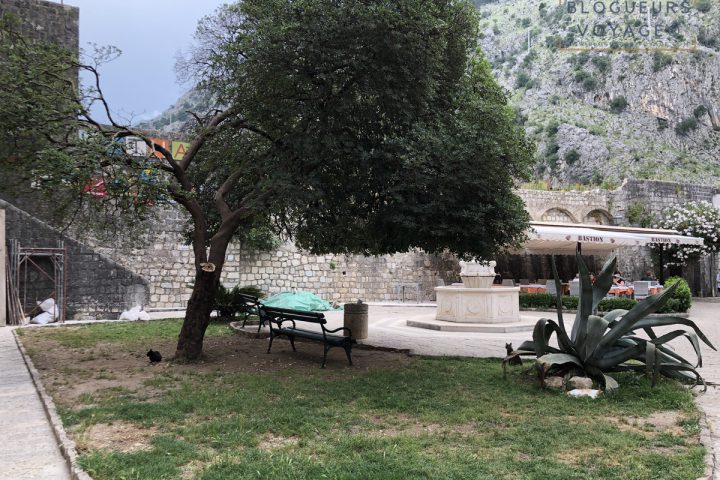 blog-voyage-montenegro-kotor-99