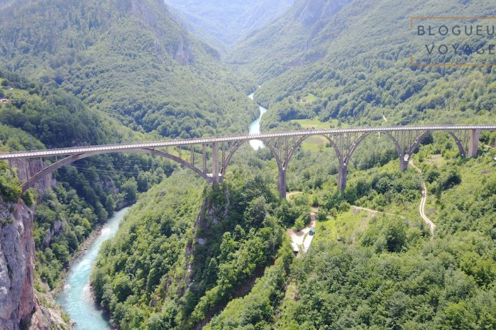 DCIM100MEDIADJI_0616.JPG