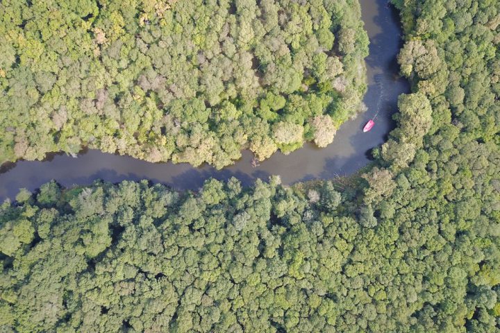 reserve-naturelle-ropotamo-blog-voyage-bulgarie-00