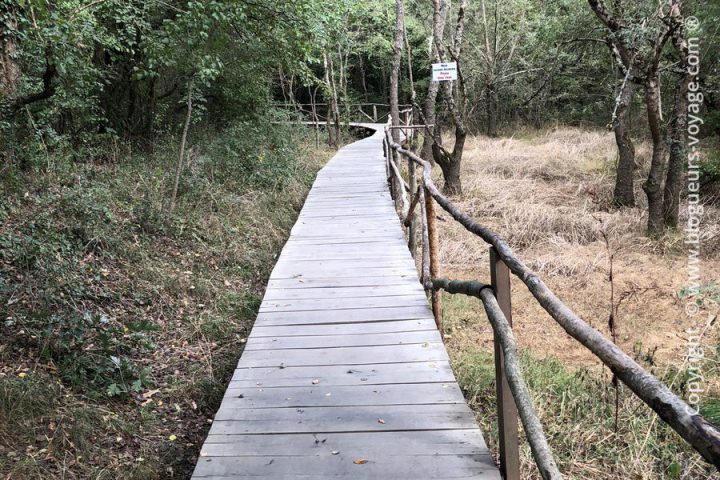 reserve-naturelle-ropotamo-blog-voyage-bulgarie-03