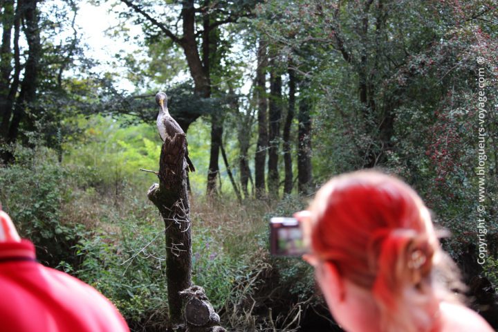 reserve-naturelle-ropotamo-blog-voyage-bulgarie-07