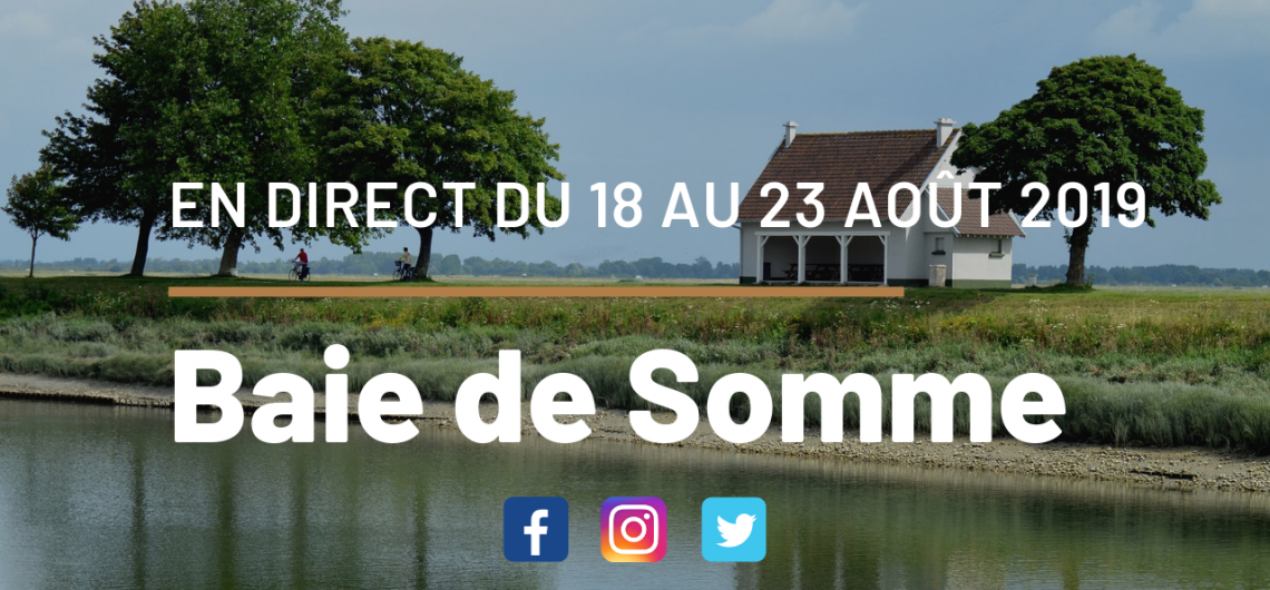 blog-voyage-baie-de-somme