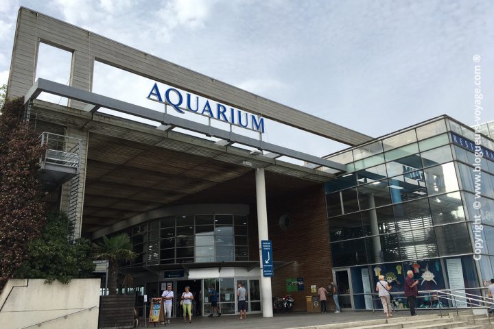 blog-voyage-aquarium-la-rochelle-Charente-Maritime