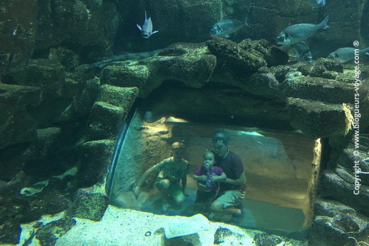 blog-voyage-aquarium-la-rochelle-Charente-Maritime
