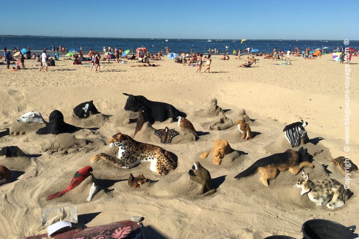 Visite d'Arcachon - Blog voyage