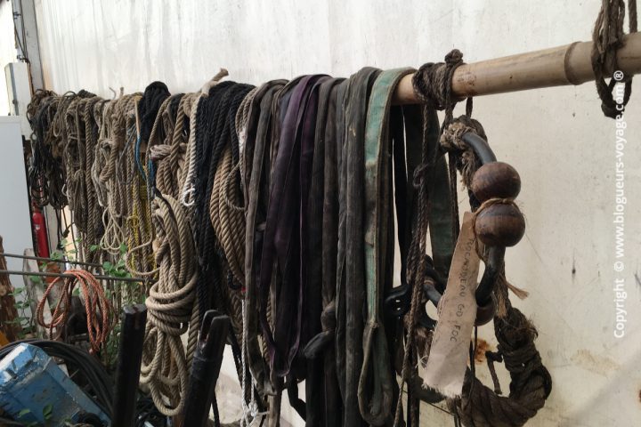 Blog voyage Rochefort - Hermione