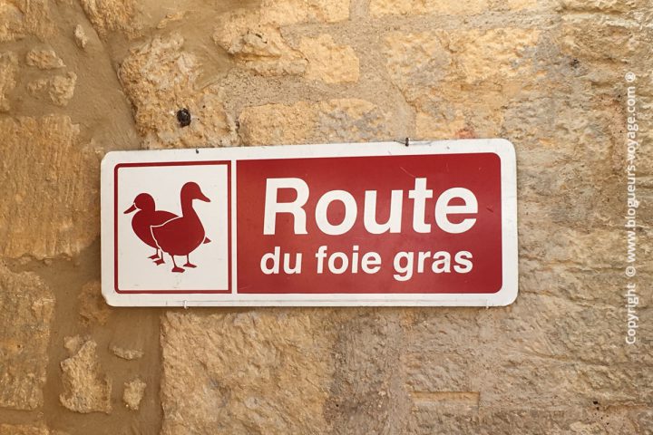 Sarlat en Dordogne da,s le Périgord Noir - Blog voyage