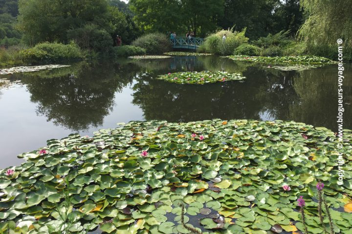 Les Jardins d'Eau dans le Périgord