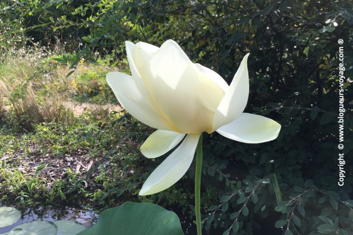 Les Jardins d'Eau dans le Périgord