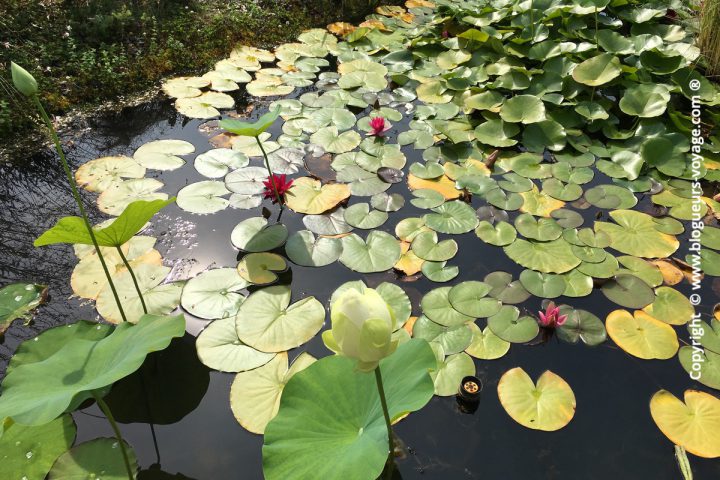 Les Jardins d'Eau dans le Périgord