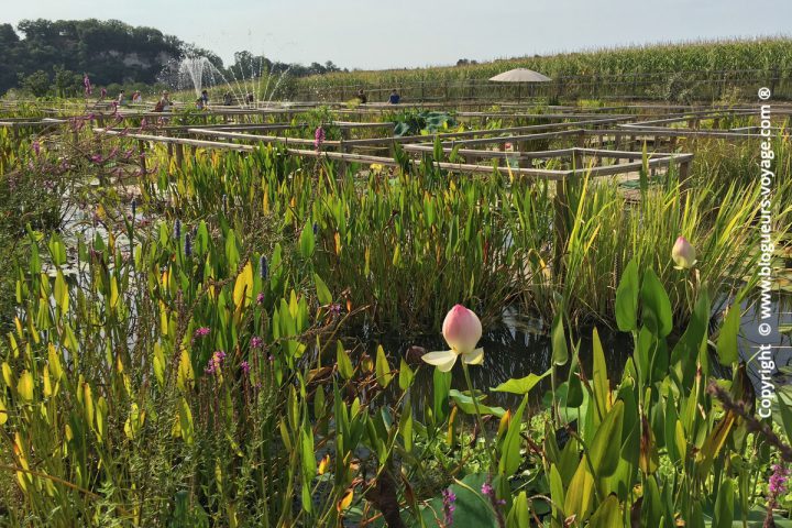 Les Jardins d'Eau dans le Périgord