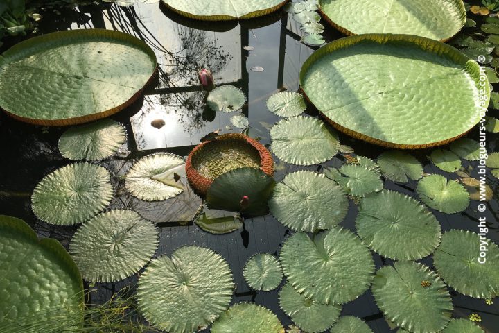 Les Jardins d'Eau dans le Périgord