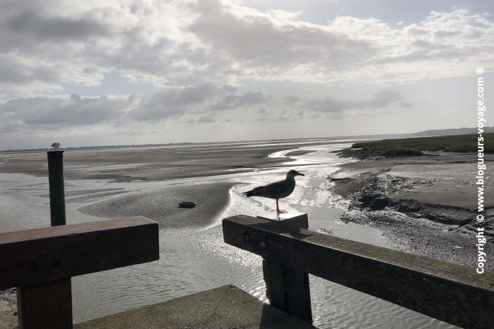 baie-de-somme-blog-voyage-179