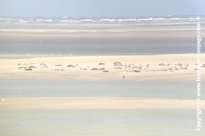 baie-de-somme-blog-voyage-186