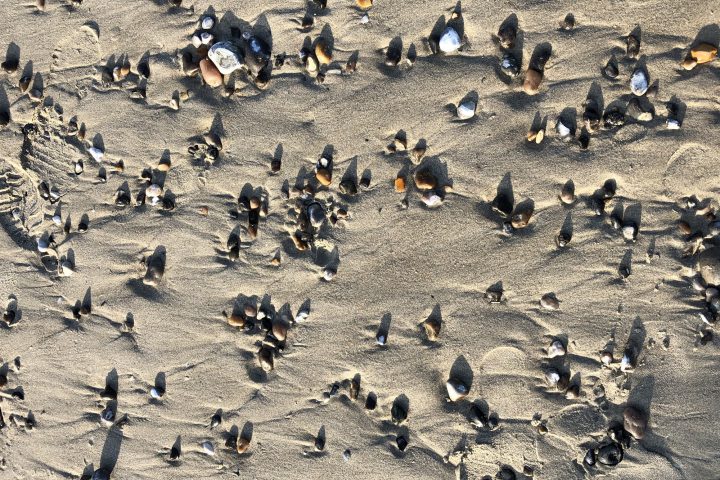 baie-de-somme-blog-voyage-213